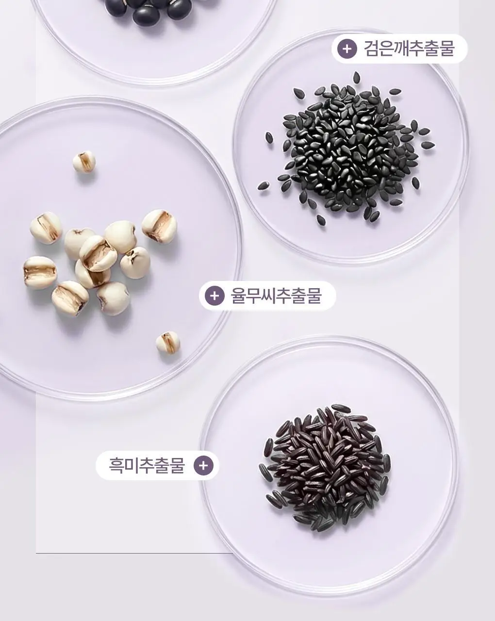 [NEW/보습클렌징] 식물나라 검은쌀 쫀득 클렌징 폼 150ml 단품/더블 기획 상세페이지 10